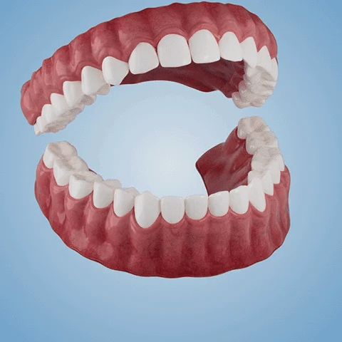 𝐇𝐢𝐝𝐨𝐧𝐞® 🐼🐼- 𝐏𝐫𝐞𝐦𝐢𝐮𝐦 𝐃𝐞𝐧𝐭𝐮𝐫𝐞- (✨Suitable for all mouth shapes, custom-made dentures for a perfect fit✨）